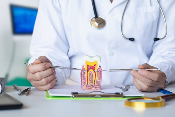 Best Emergency Dental Extractions in Watkinsville, GA